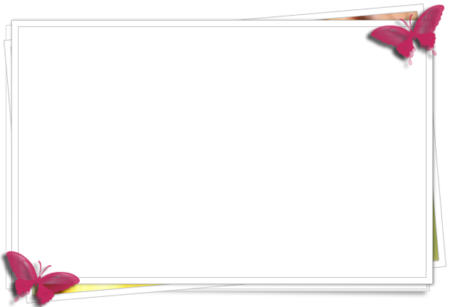 Magenta Butterflies Frame